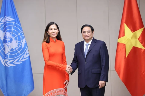 Prime Minister receives newly-appointed UN Resident Coordinator in Vietnam