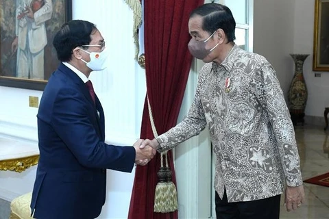 Vietnamese FM meets with Indonesian President