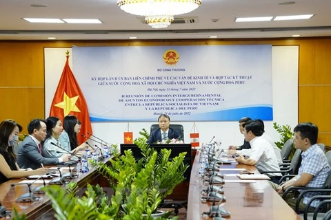 Vietnam ready to beef up economic ties with Peru: Deputy Minister