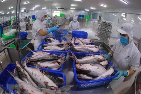 Tra fish exporters earn big thanks to high price rise