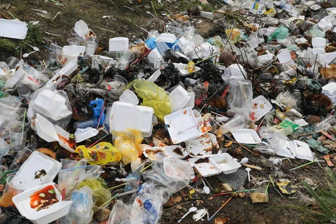 Take-away food packaging makes up 44% of plastic waste in Vietnam: WB survey