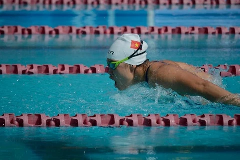  Vietnamese swimmers break more records at ASEAN Para Games