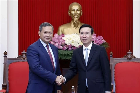 Vietnam, Cambodia maintain solidarity, mutual support: Party official