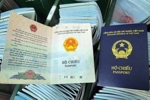 Germany temporarily recognises Vietnam’s new passport version