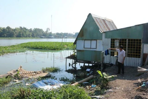 Long An to spend more on erosion-prevention works along rivers