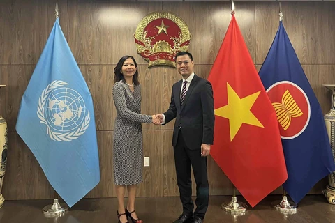 Official backs Vietnam’s priorities at UN