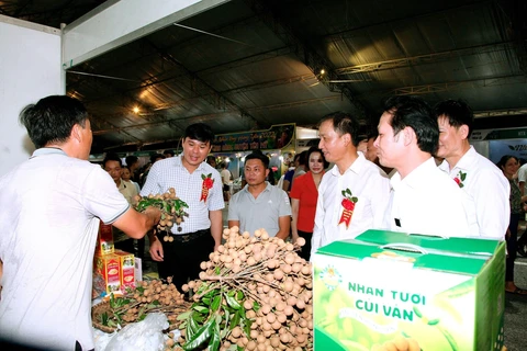Longan trade fair opens in Hung Yen province