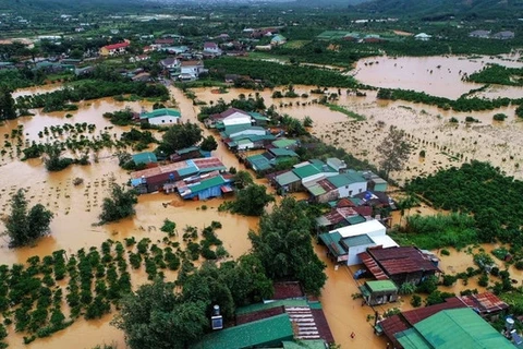 Vietnam promotes int’l cooperation for completing climate commitments