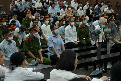 Former leaders of Binh Duong imprisoned in land-use rule violation case