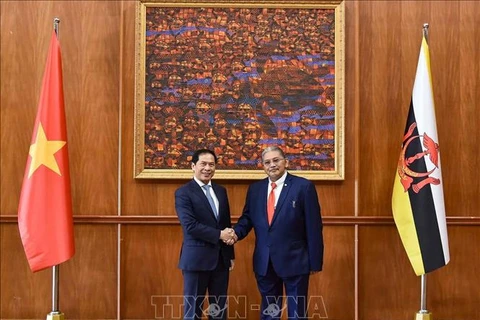 Vietnam, Brunei FMs co-chair second Joint Commission for Bilateral Cooperation meeting