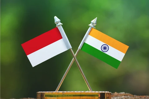 Indonesia, India discuss IPEF regional cooperation