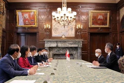 Vietnam treasures relations with Japan: Party official