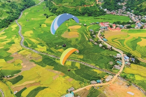 Paragliders enjoy spectacular flights over Mu Cang Chai terraced fields