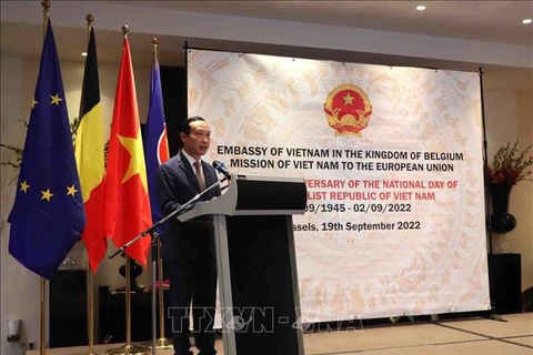 Vietnam’s relations with Belgium, EU now at their prime: ambassador