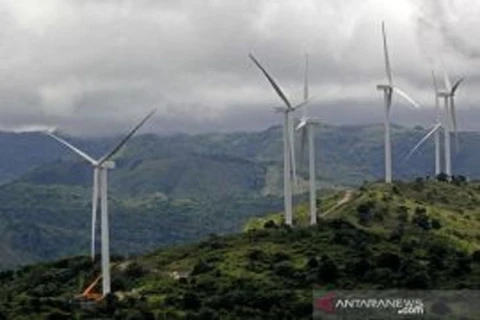 Indonesia, France study low-carbon transition risk