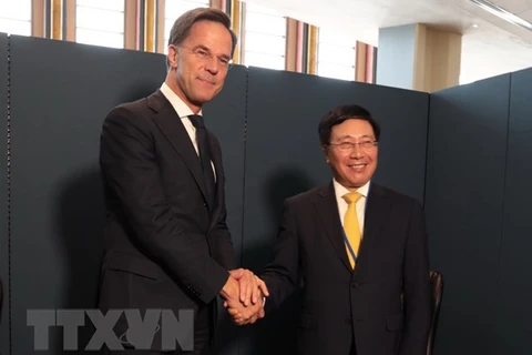 Vietnam boosts cooperation with Netherlands, African countries
