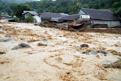 Floods kill eight in Nghe An, Ha Tinh