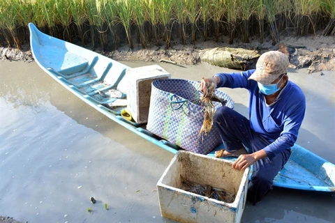Kien Giang province expands aquaculture