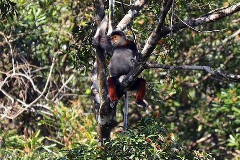 Two more ASEAN heritage national parks nominated