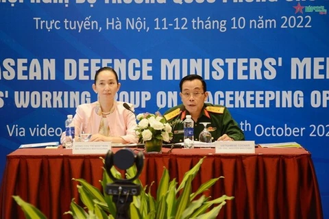 Vietnam, Japan co-chair 16th meeting of EWG on peacekeeping
