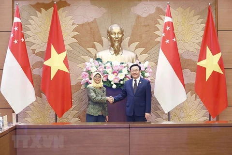 Vietnam-Singapore strategic partnership is developing fruitfully: Leaders