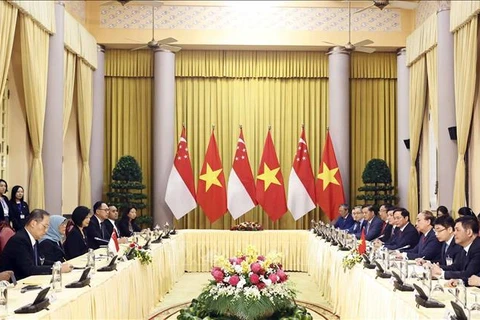 Vietnamese President holds talks with Singaporean counterpart 