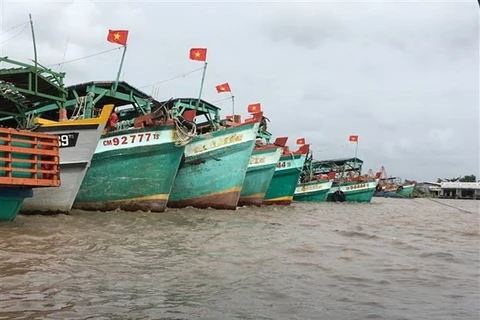 Ca Mau: all fishing vessels equipped with VMS equipment