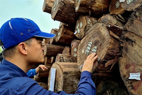 Huge potential for Vietnam’s timber exports
