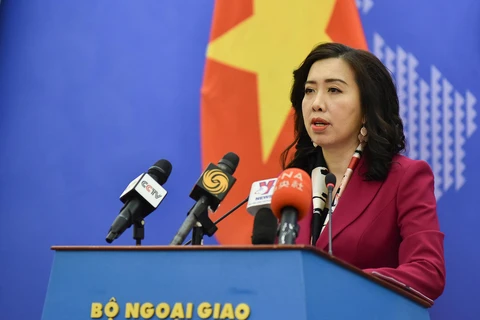 Situation of Vietnamese workers in Africa sees certain improvements: spokesperson 
