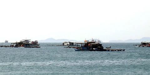 Kien Giang province’s aquaculture output increases