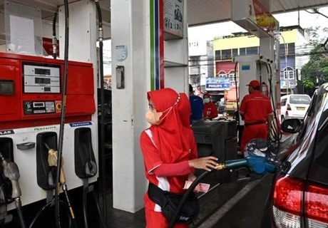 Indonesia to extend gas exports to Singapore