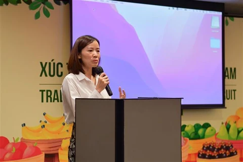 Ample room remains for Vietnam’s fruit exports to Thailand: Forum