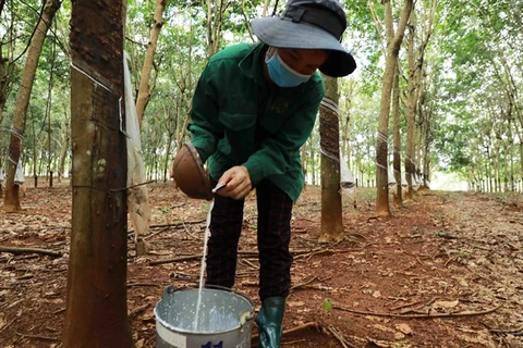 Rubber companies' business results gloomy in Q3
