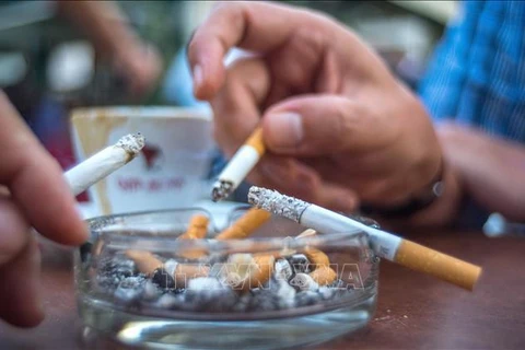 Workshop seeks measures to minimise tobacco use