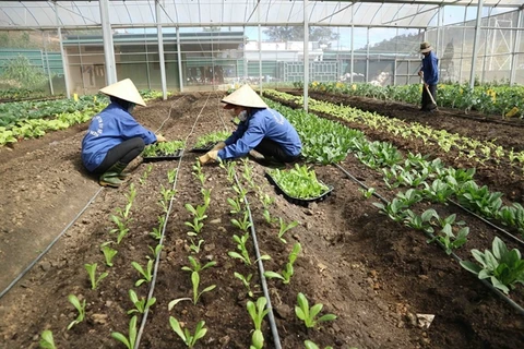 Organic farming key to healthy value chains