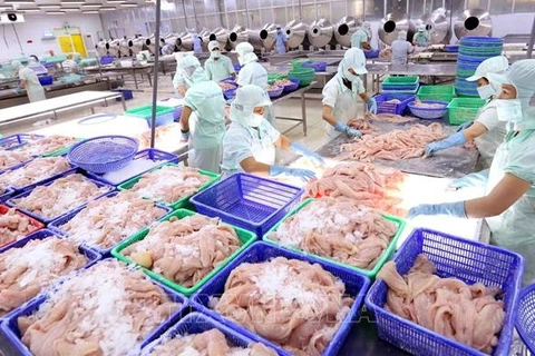 Fishery export completely recovers after COVID-19: official