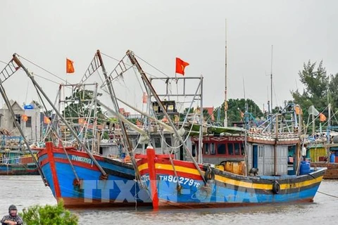  Thanh Hoa vessels possible of violating rules against IUU fishing announced