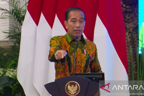 60% of electric vehicles globally to depend on made-in-Indonesia batteries: President 