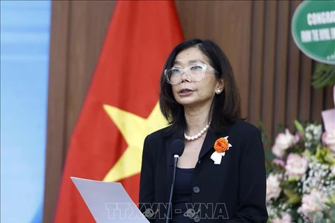 Vietnam prioritises upholding international commitments to human rights: UN Resident Coordinator