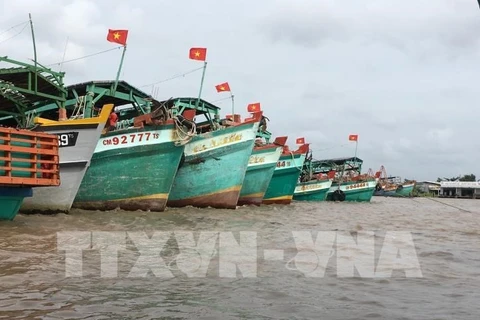 Tien Giang’s communications work on IUU fishing pays off