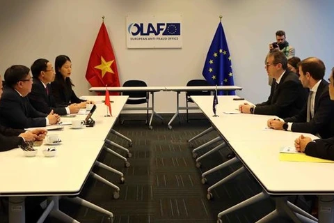 Vietnam, Europe boost cooperation in tackling trade frauds 