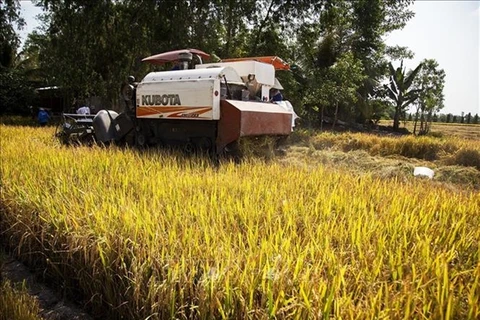Vietnam eyes double investment in agriculture to 34 billion USD by 2030