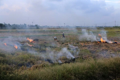 Fine dust pollution can lead to long-term consequences: experts