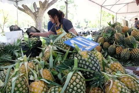 Thailand to establish “pineapple metropolis” in 2023