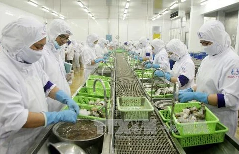 Ca Mau targets 1.3 billion USD from exports next year