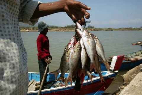 Indonesia eyes 7.6 billion USD in fishery exports next year