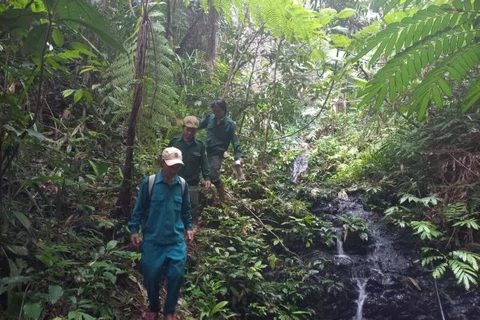 Community-based protection promotes forest conservation