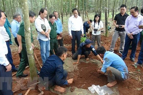 Remains of 50 more Vietnamese martyrs unearthed in Cambodia