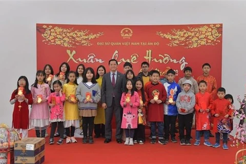 Tet gatherings held abroad by Vietnamese embassies