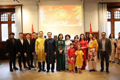 Overseas Vietnamese in Denmark, Germany celebrate Tet